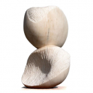 Dos Frutos Dos Frutos