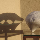 Beatle und sein Schatten