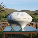 Sculptur "Beatle" Sculptur "Beatle"