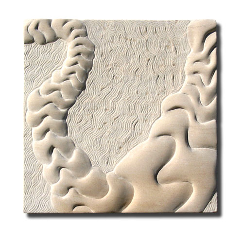 paisage del agua 1(pulpo)