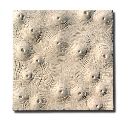 paisage del agua 4 (corteza)